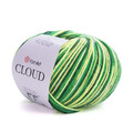 ya_cloud_600m_5311.jpg