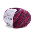 ya_cloud_600m_5310.jpg