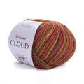 ya_cloud_600m_9204.jpg