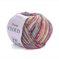 ya_cloud_600m_9210.jpg