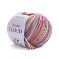 ya_cloud_600m_5315.jpg