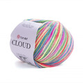 ya_cloud_600m_5319.jpg