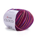 ya_cloud_600m_5305.jpg