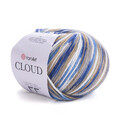 ya_cloud_600m_5303.jpg