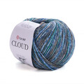 ya_cloud_600m_9206.jpg