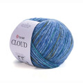 ya_cloud_600m_9205.jpg