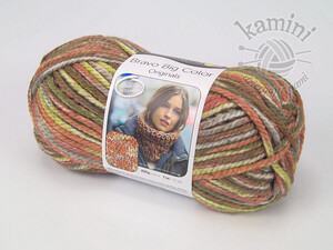Bravo Big Color 126