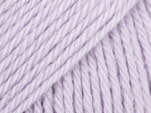 Nord 25 słodka orchidea