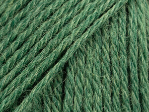 Nord 19 zielony leśny