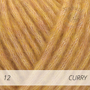 Wish 12 curry