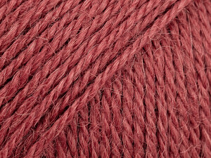 Alpaca 9040 ostrokrzew