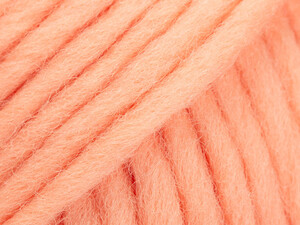 Snow 112 słodka morela