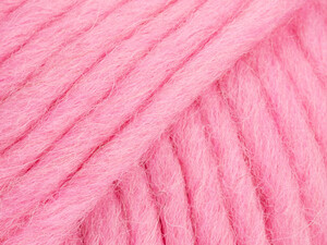 Snow 113 płatek róży