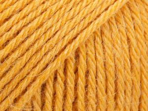 Nord 18 ochra/złoty